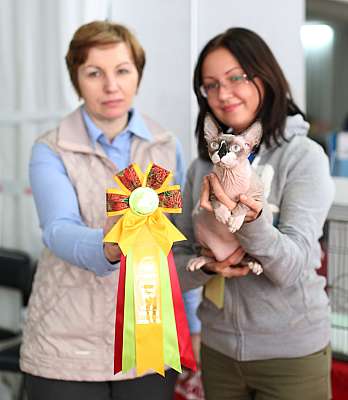 �������� ����� 22-23 ������ 2014, ������������ ��� �������� ����� 22-23 ������ 2014  ������������ ��� 169A9190 copy.jpg